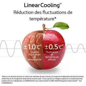 Réfrigérateur combiné LG GBB72SWVDN – Image 15
